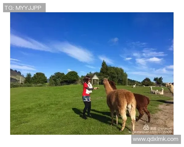 足球明星与大熊猫亲密接触展现友谊与自然之美的奇妙瞬间 足球明星与大熊猫亲密接触展现友谊与自然之美的奇妙瞬间